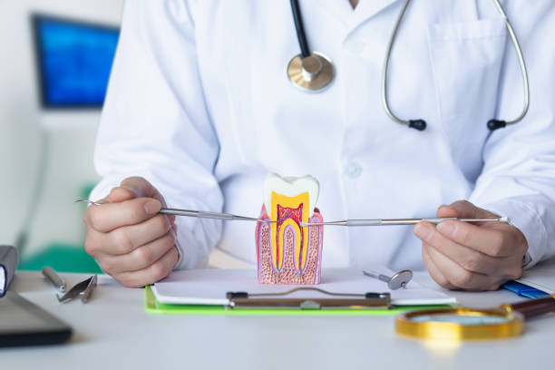 Best Emergency Dentist No Insurance  in Chocowinity, NC